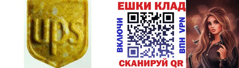Ecstasy Punisher  Салаир 