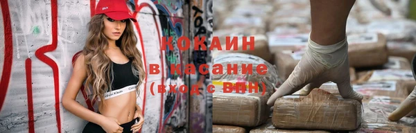 шишки Балахна