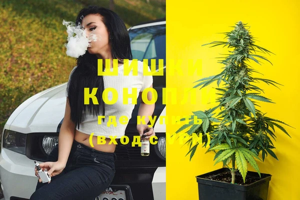 шишки Балахна