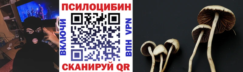 кракен   Салаир  Галлюциногенные грибы GOLDEN TEACHER 